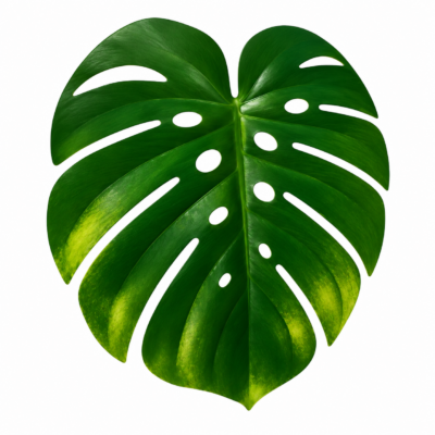 LUGAR AMERICANO GARDEN LEAF